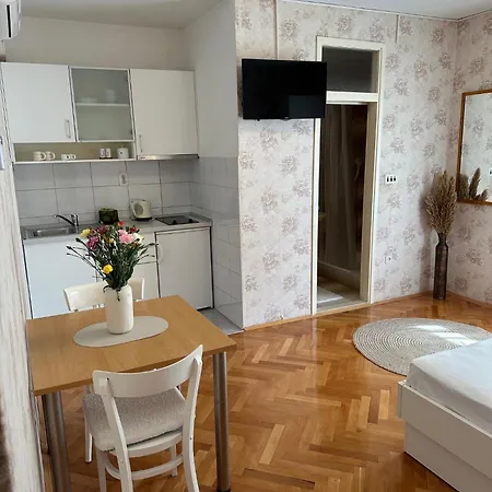 Apartment Olga 1 *