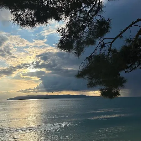 Апартаменты Olga 1